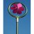 Summer Terrace Sprinkler Mini - Assorted Colours