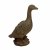 Solstice Sculptures Duck 40cm in Rust Effect