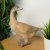 Elur Carved Wood Effect Goose 30cm