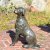 Solstice Sculptures Dog 56cm in Dark Verdigris