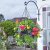 Smart Garden FlowerPro Basket 15