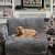 Pet Rebellion Comfy Cover 100 x 170cm - Grey