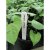 Garland 50 White Plant Labels - 13cm (5