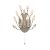 Searchlight Peacock 2 Light Wall Light With Crystal