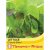 Thompson & Morgan Salad Leaves - Crispy Lettuce Blend