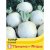 Thompson & Morgan Turnip Snowball