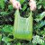 Ancol Degradable Bags & Dispenser - 1x15 Bags