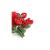 Premier Decorations Red Berry Candle Ring 14cm