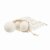 &Again Wool Dryer Balls (Pack of 4)