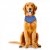 Zoon Uber-Activ Cooling Bandana Large/Extra Large