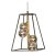 Oaks Lighting Tere 4 Light Chandelier Black