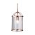 Oaks Lighting Fern 1 Light Lantern Style Pendant Copper