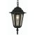 Oaks Lighting Haxby Outdoor Porch Lantern with Chain Black