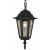 Oaks Lighting Haxby Outdoor Porch Lantern with Chain Black