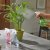 Smart Garden Home & Garden Sprayer 300ml - Assorted
