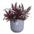 Elho Jazz Round 19cm Lavender Lilac Plant Pot