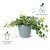 Elho Brussels Round 16cm Mint Plant Pot