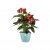 Elho Brussels Round 14cm Mint Plant Pot