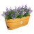 Elho Vibia Campana Trough 50cm Honey Yellow