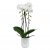 Elho Vibes Fold Orchid High 12.5cm Transparent Pot
