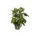 Elho Green Basics Growpot - 40cm Leaf Green
