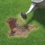 Miracle Gro Patch Magic Jug - 1015GM