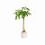 elho B.For Soft Round Plant Pot 25cm - White
