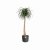 elho B.For Soft Round Plant Pot 25cm - Anthracite