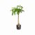 elho B.For Soft Round Plant Pot 25cm - Anthracite