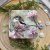 Alex Clark Square Tin - Long Tailed Tit and Magnolia