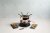 Artes Hand Finished Copper Effect Fondue Set