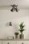 Laura Ashley Rufus 3 Light Plate Spotlight Industrial Nickel