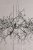 Laura Ashley Willow 5 Light Pendant Satin Pewter and Crystal