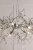 Laura Ashley Willow 5 Light Pendant Satin Pewter and Crystal