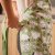 Ulster Weavers Woolly Sheep Cotton Apron