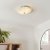 Roundel 2light Flush ceiling light