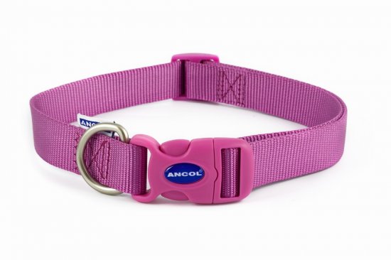 Purple Adjustable Collar 20-30cm Size 5-9