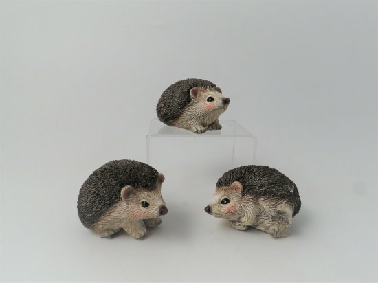 Giftware Trading Hedgehog Decoration - Assorted
